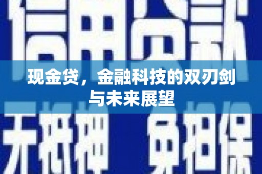 忻府现金贷，金融科技的双刃剑与未来展望