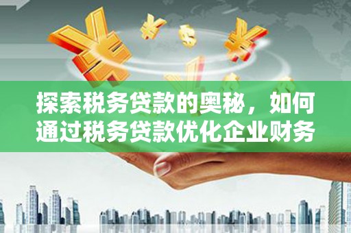 忻府探索税务贷款的奥秘，如何通过税务贷款优化企业财务