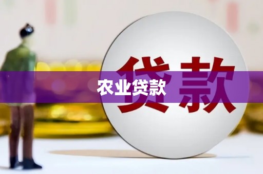 忻府农业贷款