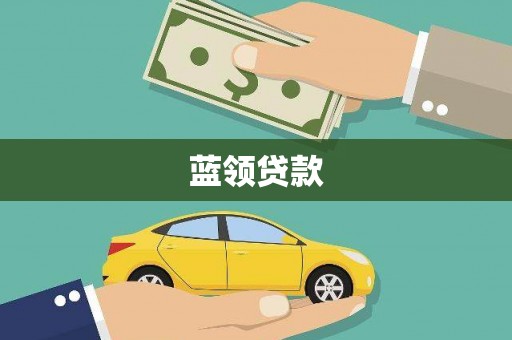 忻府蓝领贷款