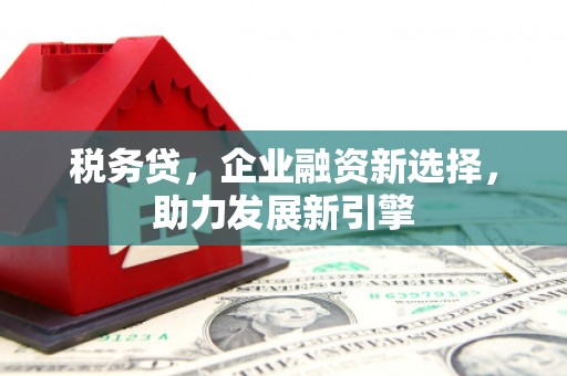 忻府税务贷，企业融资新选择，助力发展新引擎