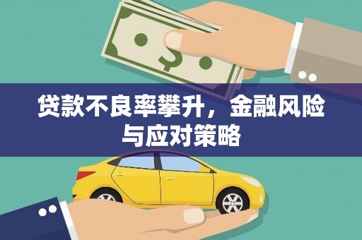 忻府贷款不良率攀升，金融风险与应对策略
