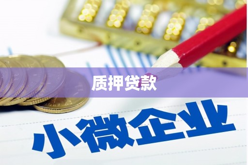 忻府质押贷款