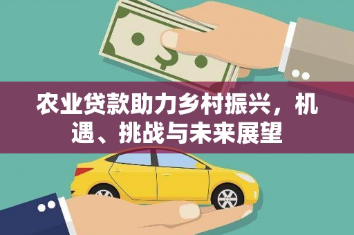 忻府农业贷款助力乡村振兴，机遇、挑战与未来展望