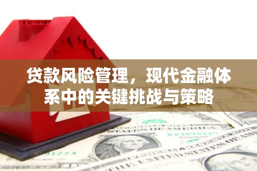 忻府贷款风险管理，现代金融体系中的关键挑战与策略