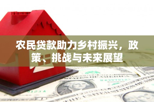 忻府农民贷款助力乡村振兴，政策、挑战与未来展望