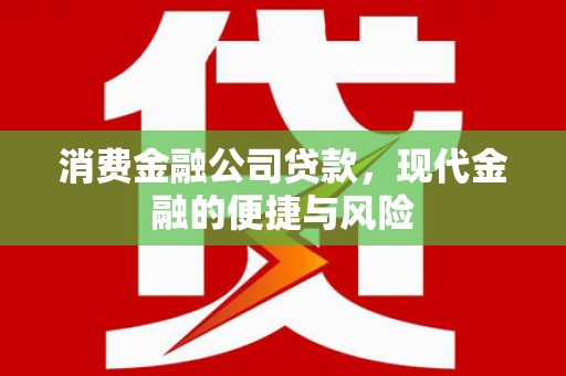 忻府消费金融公司贷款，现代金融的便捷与风险