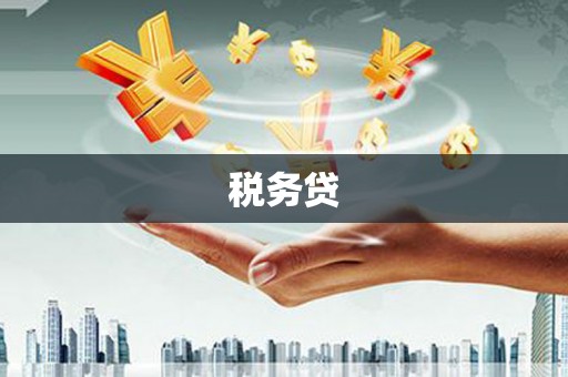 忻府税务贷