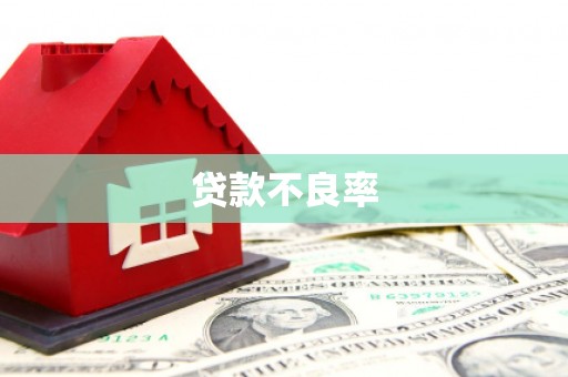 忻府贷款不良率