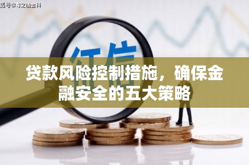 忻府贷款风险控制措施，确保金融安全的五大策略