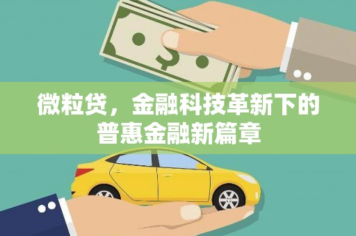 忻府微粒贷，金融科技革新下的普惠金融新篇章