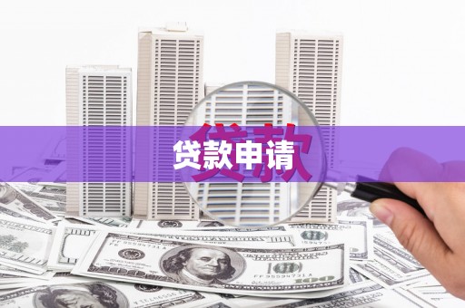 忻府贷款申请