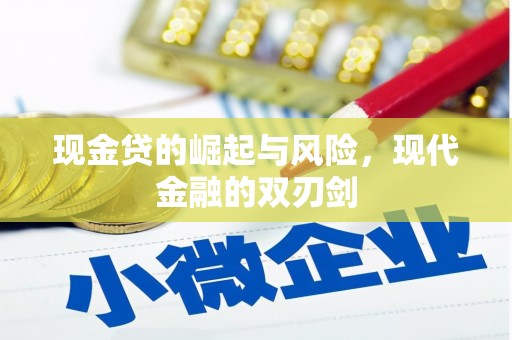 忻府现金贷的崛起与风险，现代金融的双刃剑