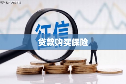 忻府贷款购买保险