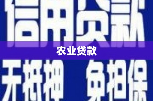 忻府农业贷款