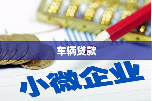 忻府车辆贷款
