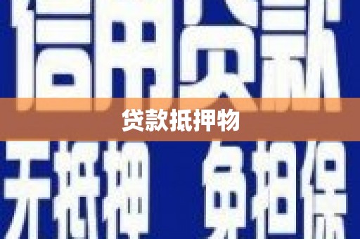 忻府贷款抵押物