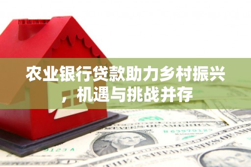忻府农业银行贷款助力乡村振兴，机遇与挑战并存