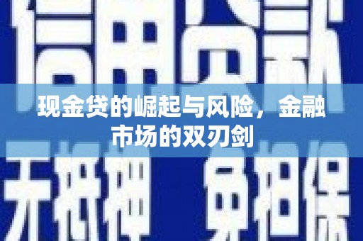 忻府现金贷的崛起与风险，金融市场的双刃剑