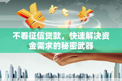 忻府不看征信贷款，快速解决资金需求的秘密武器
