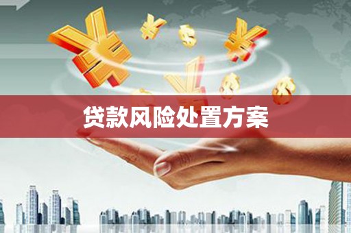 忻府贷款风险处置方案