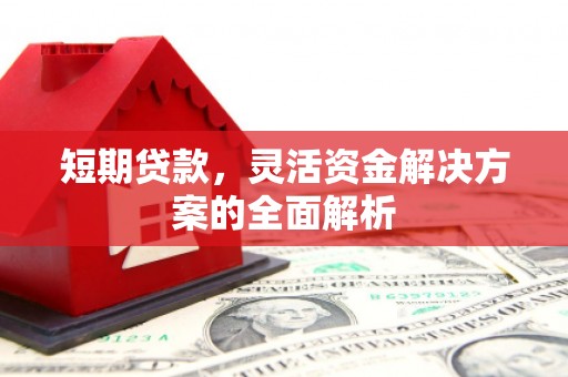 忻府短期贷款，灵活资金解决方案的全面解析