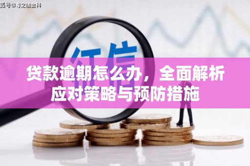 忻府贷款逾期怎么办，全面解析应对策略与预防措施