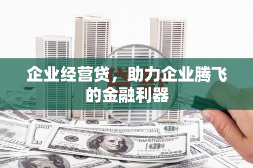 忻府企业经营贷，助力企业腾飞的金融利器