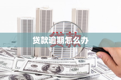 忻府贷款逾期怎么办