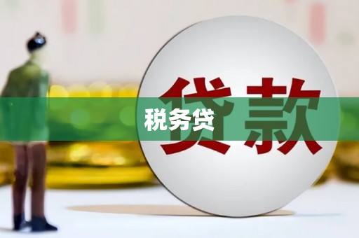 忻府税务贷