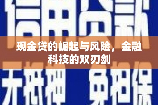 忻府现金贷的崛起与风险，金融科技的双刃剑