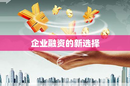 忻府企业融资的新选择