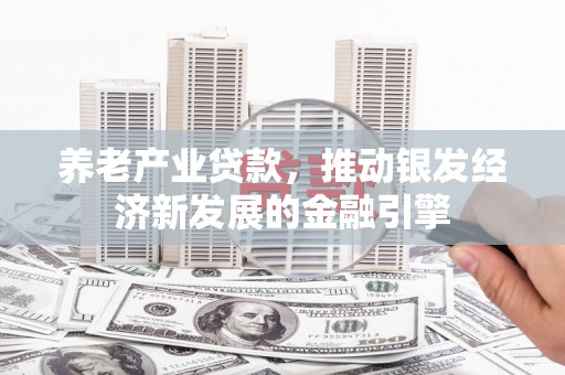 忻府养老产业贷款，推动银发经济新发展的金融引擎