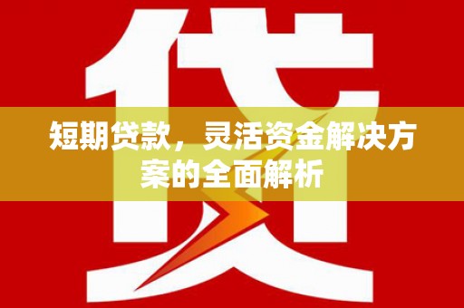 忻府短期贷款，灵活资金解决方案的全面解析
