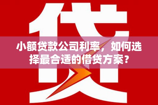 忻府小额贷款公司利率，如何选择最合适的借贷方案？