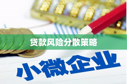 忻府贷款风险分散策略