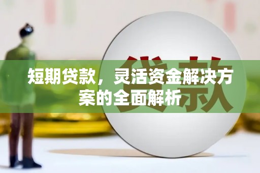 忻府短期贷款，灵活资金解决方案的全面解析