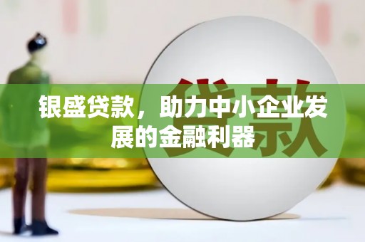 忻府银盛贷款，助力中小企业发展的金融利器