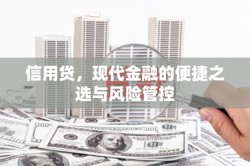 忻府信用贷，现代金融的便捷之选与风险管控