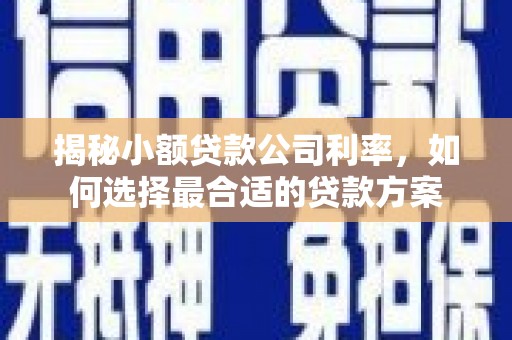 忻府揭秘小额贷款公司利率，如何选择最合适的贷款方案