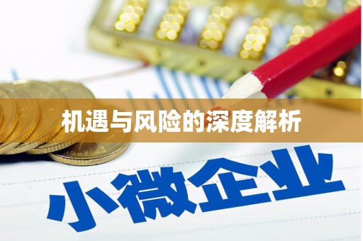 忻府机遇与风险的深度解析