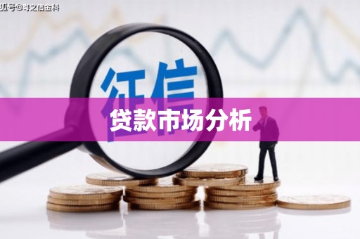 忻府贷款市场分析