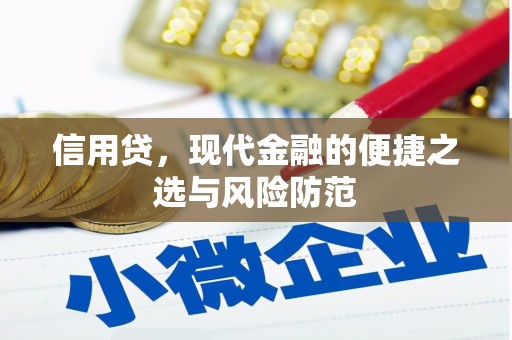 忻府信用贷，现代金融的便捷之选与风险防范