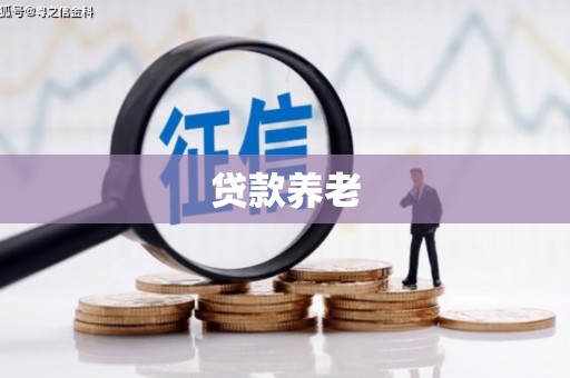 忻府贷款养老