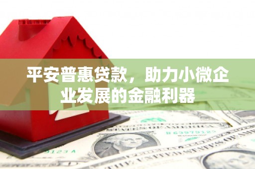 忻府平安普惠贷款，助力小微企业发展的金融利器