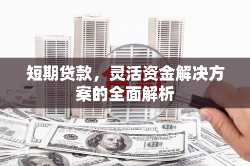 忻府短期贷款，灵活资金解决方案的全面解析