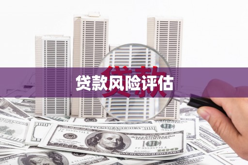 忻府贷款风险评估