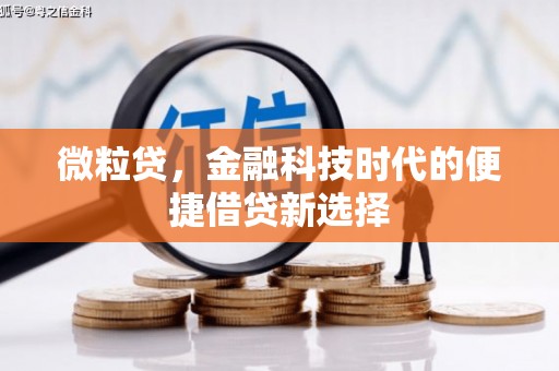 忻府微粒贷，金融科技时代的便捷借贷新选择