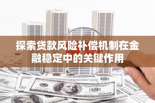 忻府探索贷款风险补偿机制在金融稳定中的关键作用
