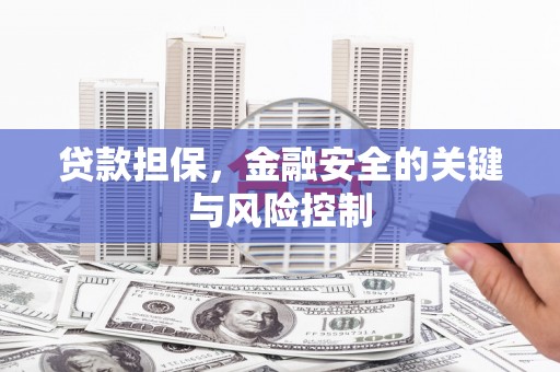 忻府贷款担保，金融安全的关键与风险控制